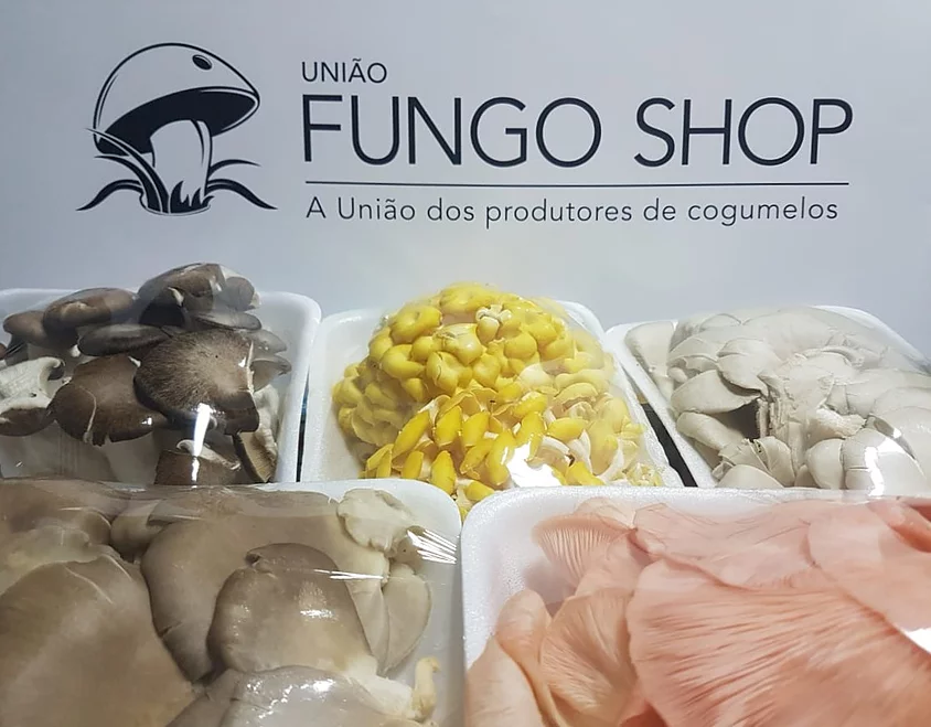 Cogumelo Shiitake 100g - Fungo Shop Delivery